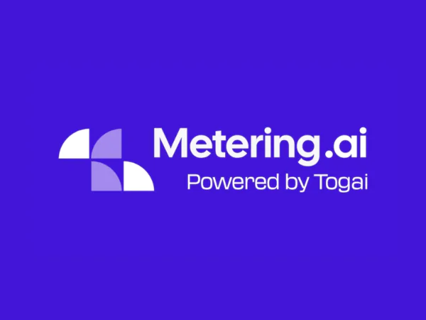 Metering AI | Description, Feature, Pricing and Competitors