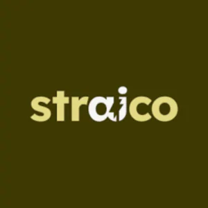 Straico | Description, Feature, Pricing and Competitors