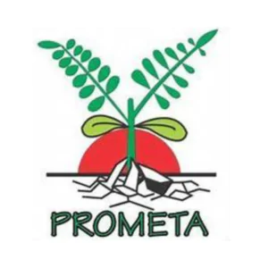 Prometai |Description, Feature, Pricing and Competitors