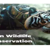AI for Wildlife Conservation Efforts